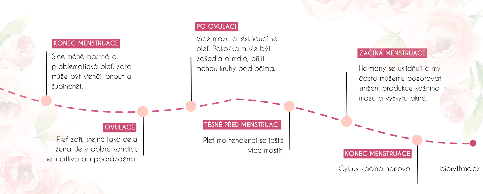 cykličnost 